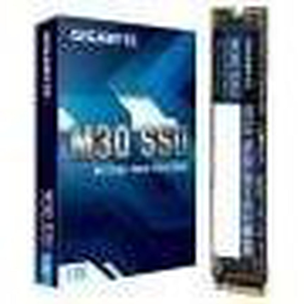 Gigabyte GP-GM301TB-G M2 1TB 1.0