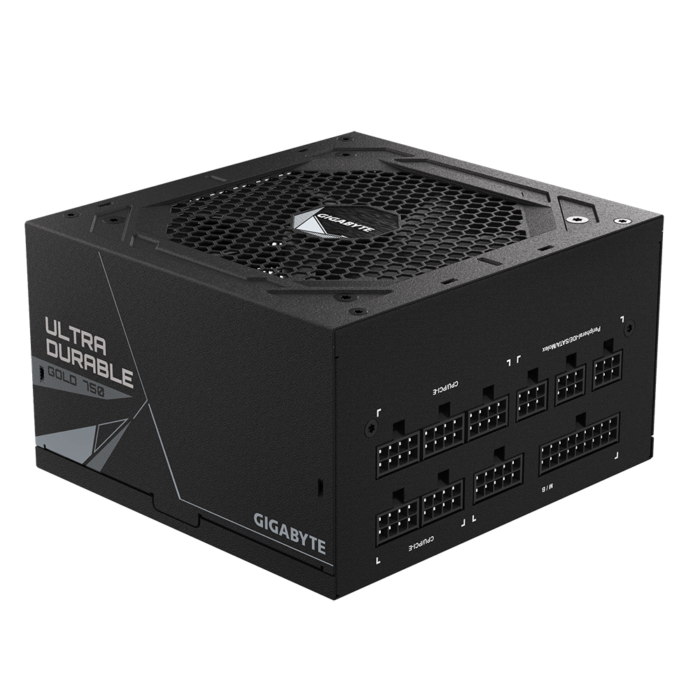 Gigabyte P750GM Fully Modular 80+ GOLD Power Supply 4 Pin Peripheral x 3 + 4-Pin floppy x 1 : 500mm+120mm+120mm+150mm *1